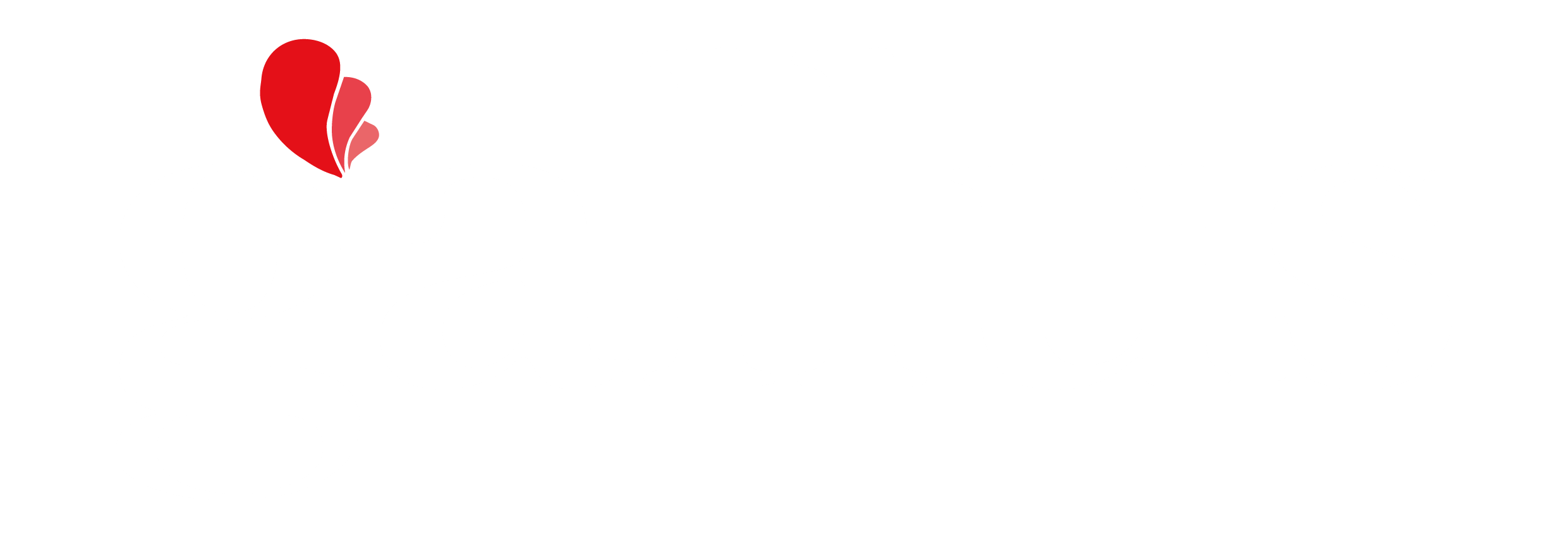 Gallus
